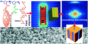 Graphical abstract: Directing block copolymer self-assembly with permanent magnets: photopatterning microdomain alignment and generating oriented nanopores