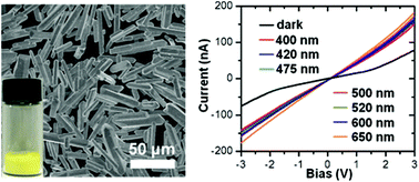 Graphical abstract: Solution synthesis and phase control of inorganic perovskites for high-performance optoelectronic devices