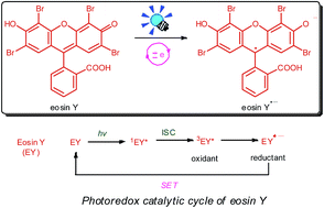 Graphical abstract: Retracted Article: Eosin Y catalysed photoredox synthesis: a review