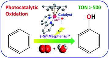 Graphical abstract: Photocatalytic oxidation of benzene to phenol using dioxygen as an oxygen source and water as an electron source in the presence of a cobalt catalyst