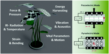 Graphical abstract: Route towards sustainable smart sensors: ferroelectric polyvinylidene fluoride-based materials and their integration in flexible electronics