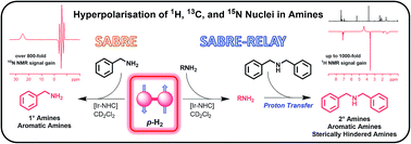 Graphical abstract: Direct and indirect hyperpolarisation of amines using parahydrogen