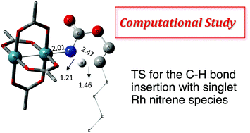 Graphical abstract: Rhodium(ii)-catalyzed C–H aminations using N-mesyloxycarbamates: reaction pathway and by-product formation