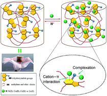 Graphical abstract: An indole-based aerogel for enhanced removal of heavy metals from water via the synergistic effects of complexation and cation–π interactions