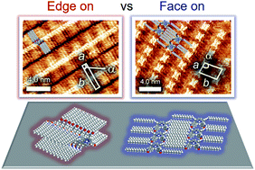 Graphical abstract: The polymorphism of porphyrin 2D assemblies at the liquid–graphite interface: the effect of a polar solvent additive and a flexible spacer on the face-on and edge-on type molecular arrangements