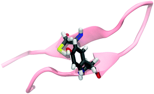 Graphical abstract: Tyrosine, cysteine, and proton coupled electron transfer in a ribonucleotide reductase-inspired beta hairpin maquette