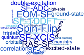 Graphical abstract: Spin-flip methods in quantum chemistry