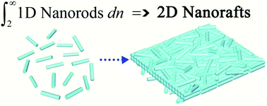 Graphical abstract: Free-standing 2D nanorafts by assembly of 1D nanorods for biomolecule sensing