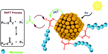Graphical abstract: PET-RAFT polymerization catalyzed by cadmium selenide quantum dots (QDs): Grafting-from QDs photocatalysts to make polymer nanocomposites