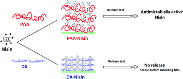 Graphical abstract: Nisin/polyanion layer-by-layer films exhibiting different mechanisms in antimicrobial efficacy