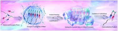 Graphical abstract: Freeze the dynamicity: charge transfer complexation assisted control over the reaction pathway