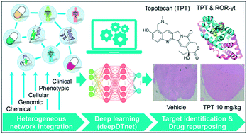 Graphical abstract: Target identification among known drugs by deep learning from heterogeneous networks