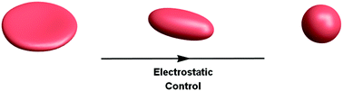 Graphical abstract: Computational studies of shape control of charged deformable nanocontainers