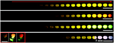 Graphical abstract: Color tunable upconversion luminescent perovskite fluoride with long-/short-lived emissions toward multiple anti-counterfeiting