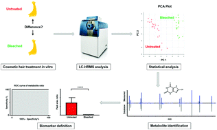 Graphical abstract: Cheating on forensic hair testing? Detection of potential biomarkers for cosmetically altered hair samples using untargeted hair metabolomics