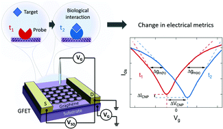 Graphical abstract: Graphene field-effect transistors as bioanalytical sensors: design, operation and performance