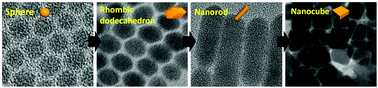 Graphical abstract: Longitudinal shape evolution of Ag2S nanoparticles from nanospheres, rhombic dodecahedrons, nanorods, to nanocubes