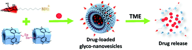 Graphical abstract: Tumor microenvironment responsive supramolecular glyco-nanovesicles based on diselenium-bridged pillar[5]arene dimer for targeted chemotherapy