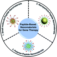 Graphical abstract: Peptide-based nanomaterials for gene therapy