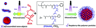 Graphical abstract: Uncontrolled polymerization that occurred during photoinitiated RAFT dispersion polymerization of acrylic monomers promotes the formation of uniform raspberry-like polymer particles