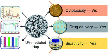 Graphical abstract: UV-assisted synthesis of hydroxyapatite from eggshells at ambient temperature: cytotoxicity, drug delivery and bioactivity