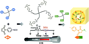 Graphical abstract: Characterization of N-phenylmaleimide-terminated poly(ethylene glycol)s and their application to a tetra-arm poly(ethylene glycol) gel