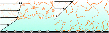 Graphical abstract: Near-surface rheology and hydrodynamic boundary condition of semi-dilute polymer solutions