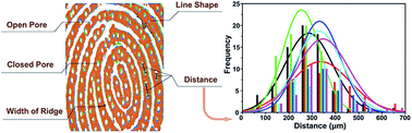 Graphical abstract: Fast and quantitative analysis of level 3 details for latent fingerprints