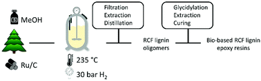 Graphical abstract: Low molecular weight and highly functional RCF lignin products as a full bisphenol a replacer in bio-based epoxy resins