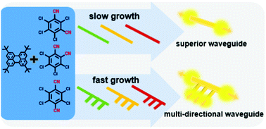 Graphical abstract: Self-assembled organic homostructures with tunable optical waveguides fabricated via “cocrystal engineering”