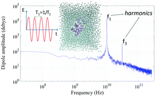 Graphical abstract: A rationale for non-linear responses to strong electric fields in molecular dynamics simulations