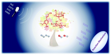 Graphical abstract: Emerging heterogeneous catalysts for biomass conversion: studies of the reaction mechanism