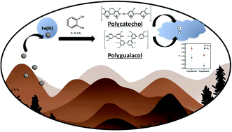 Graphical abstract: Hygroscopicity of polycatechol and polyguaiacol secondary organic aerosol in sub- and supersaturated water vapor environments