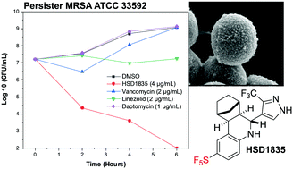 Graphical abstract: SF5- and SCF3-substituted tetrahydroquinoline compounds as potent bactericidal agents against multidrug-resistant persister Gram-positive bacteria