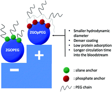 Graphical abstract: Persistent luminescence nanoparticles functionalized by polymers bearing phosphonic acid anchors: synthesis, characterization, and in vivo behaviour