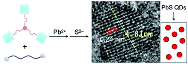 Graphical abstract: Formation of a lead chalcogenide quantum dot-based supramolecular polymer network via pillar[5]arene-based host–guest complexation