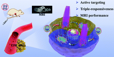 Graphical abstract: Triple-responsive targeted hybrid liposomes with high MRI performance for tumor diagnosis and therapy