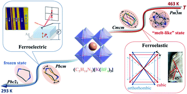 Graphical abstract: Room-temperature ferroelectric and ferroelastic orders coexisting in a new tetrafluoroborate-based perovskite