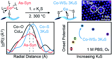 Graphical abstract: Controlling the Co–S coordination environment in Co-doped WS2 nanosheets for electrochemical oxygen reduction