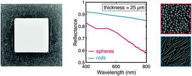 Graphical abstract: Anisotropic silica colloids for light scattering