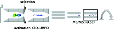 Graphical abstract: Tandem-trapped ion mobility spectrometry/mass spectrometry (tTIMS/MS): a promising analytical method for investigating heterogenous samples