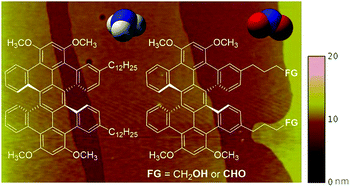 Graphical abstract: Sensitivity of gas sensors enhanced by functionalization of hexabenzoperylene in solution-processed monolayer organic field effect transistors