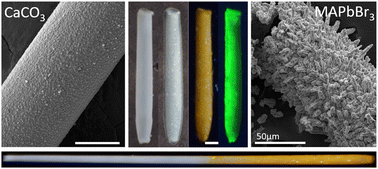 Graphical abstract: Perovskite chemical gardens: highly fluorescent microtubes from self-assembly and ion exchange