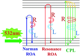 Graphical abstract: A Raman optical activity spectrometer can sensitively detect lanthanide circularly polarized luminescence