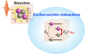 Graphical abstract: Biexciton dynamics in halide perovskite nanocrystals