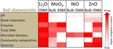 Graphical abstract: Soil activity and microbial community response to nanometal oxides were not due exclusively to a particle size effect