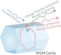 Graphical abstract: High-specificity molecular sensing on an individual whispering-gallery-mode cavity: coupling-enhanced Raman scattering by photoinduced charge transfer and cavity effects