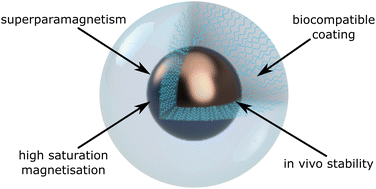 Graphical abstract: A guide to the design of magnetic particle imaging tracers for biomedical applications