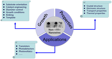 Graphical abstract: Non-〈111〉-oriented semiconductor nanowires: growth, properties, and applications