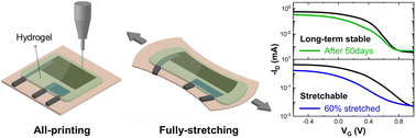 Graphical abstract: All-printed and stretchable organic electrochemical transistors using a hydrogel electrolyte